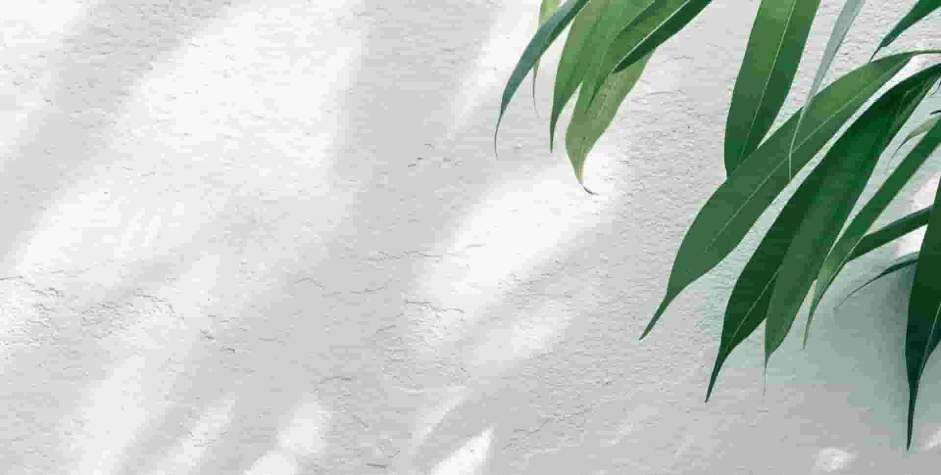 soft neutral background